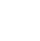 Globe icon